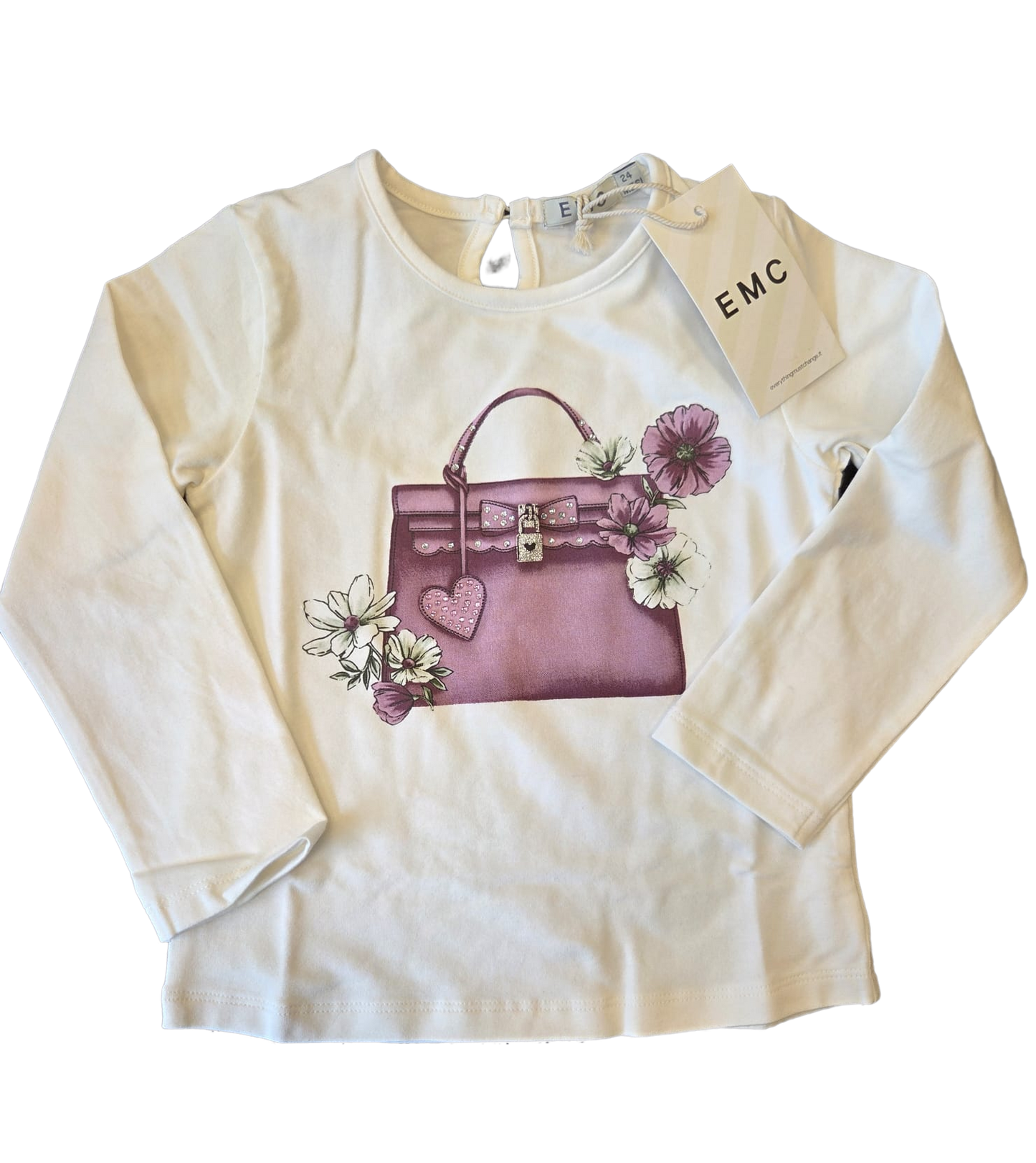 EMC Lock Bag