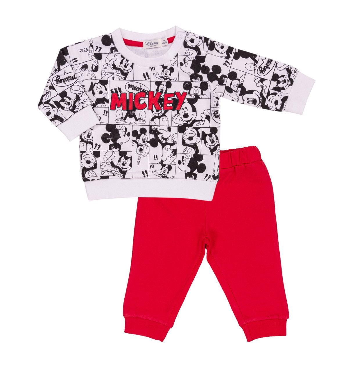 EMC Mickey Mouse