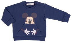 EMC Mickey Mouse