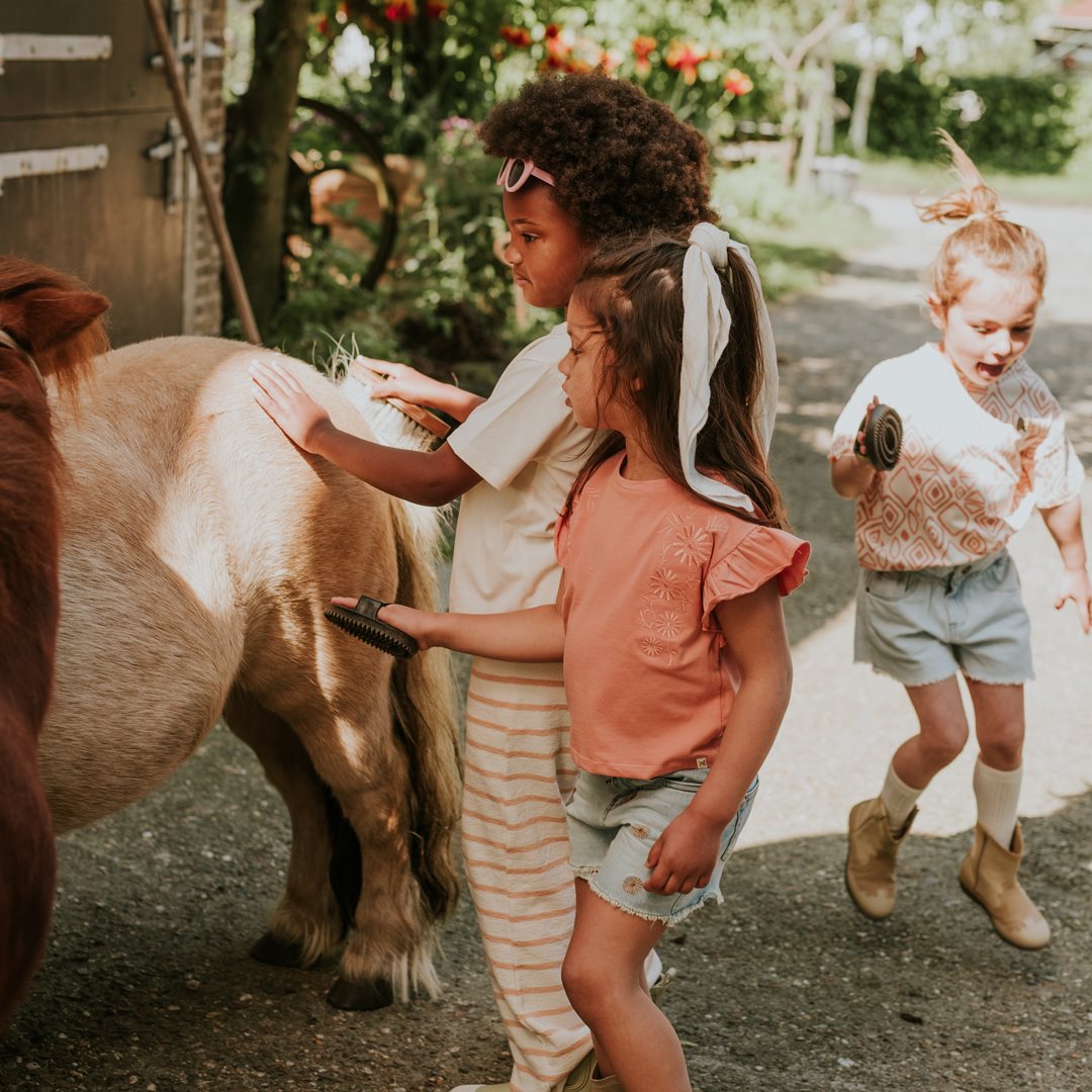 Koko Noko Blushed Shirt