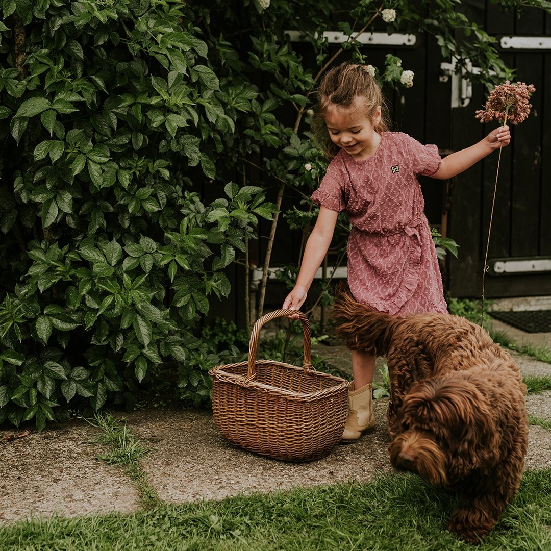 Koko Noko Cassis Dress