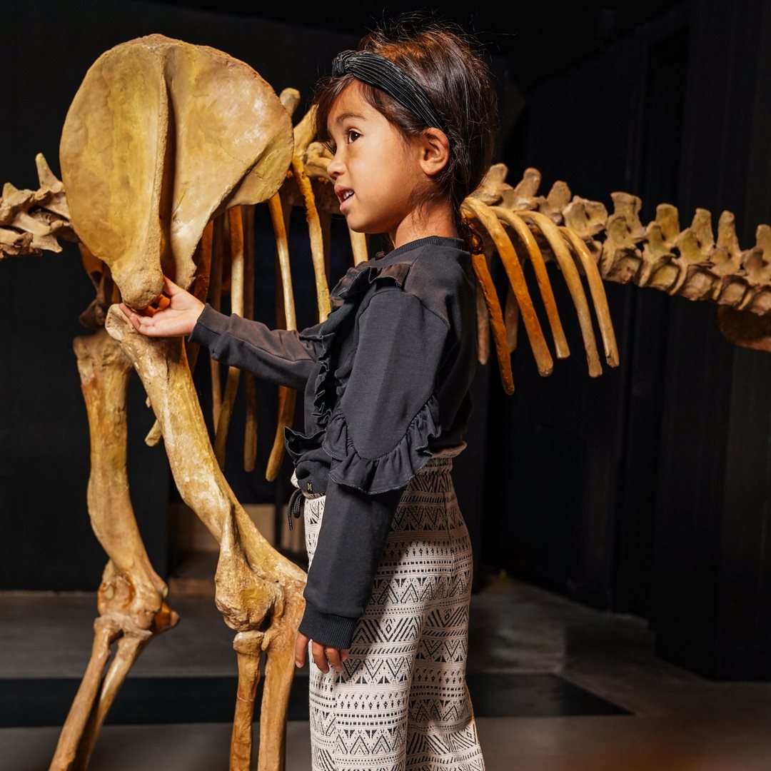 Koko Noko Sweater Faded