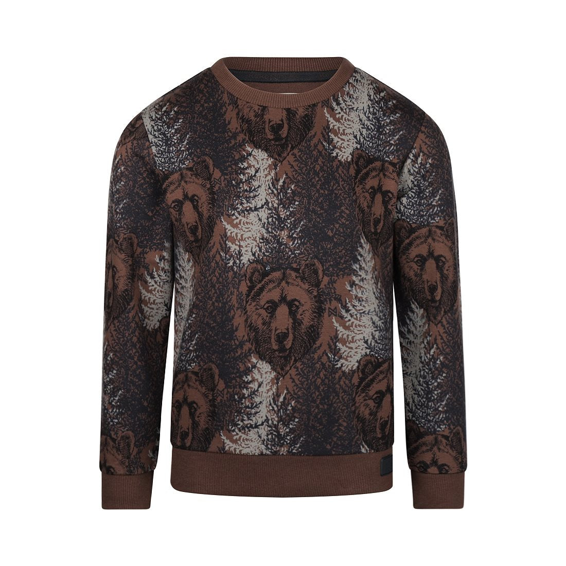 Sweater bear