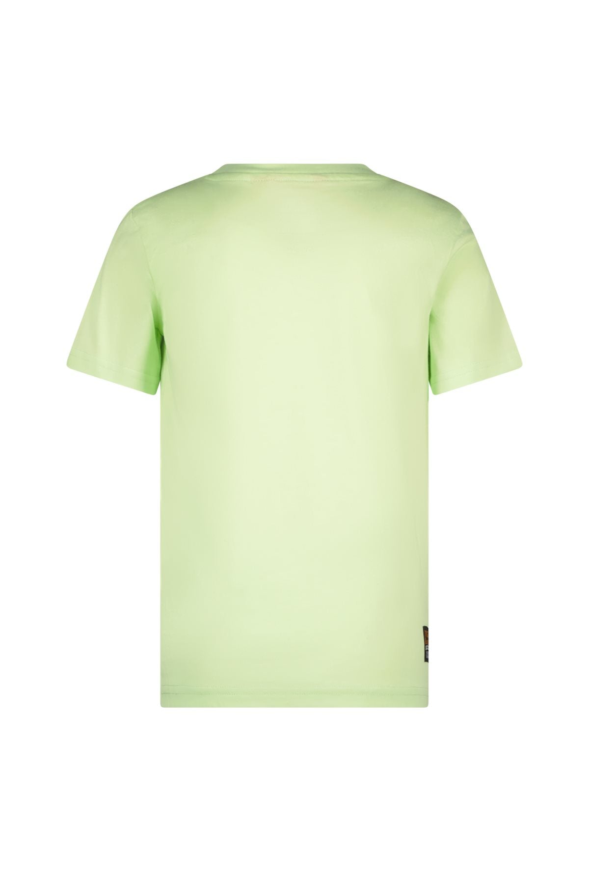 TYGO & vito Pokémon Green