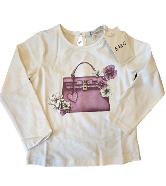 EMC Lock Bag