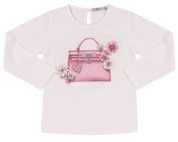 EMC Lock Bag