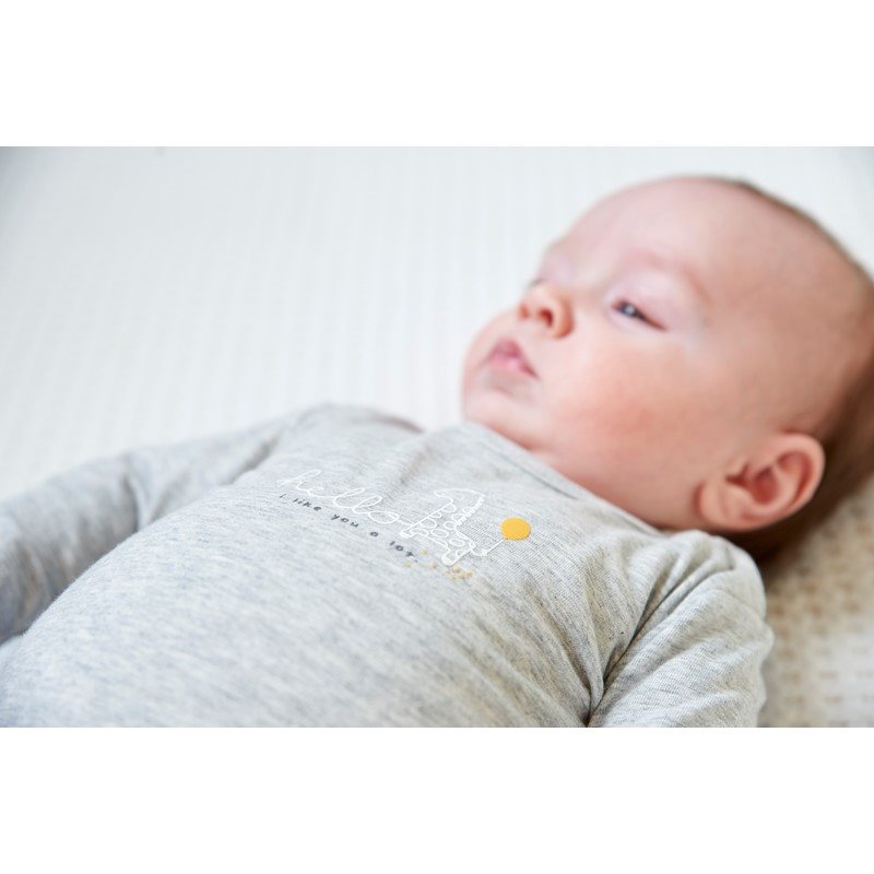 Feetje Longsleeve Giraffe Grey