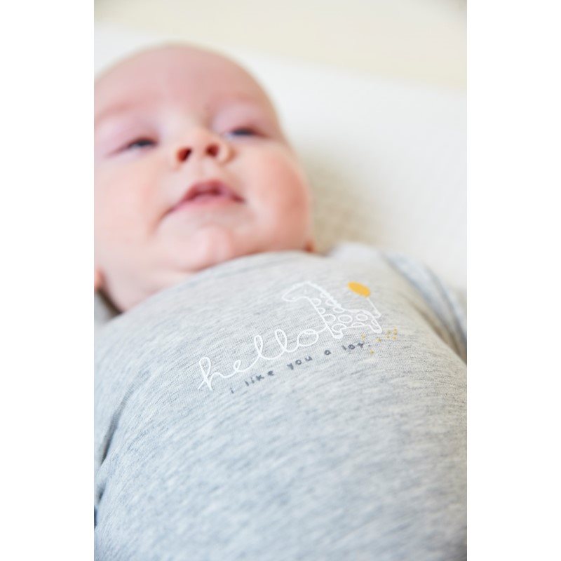 Feetje Longsleeve Giraffe Grey