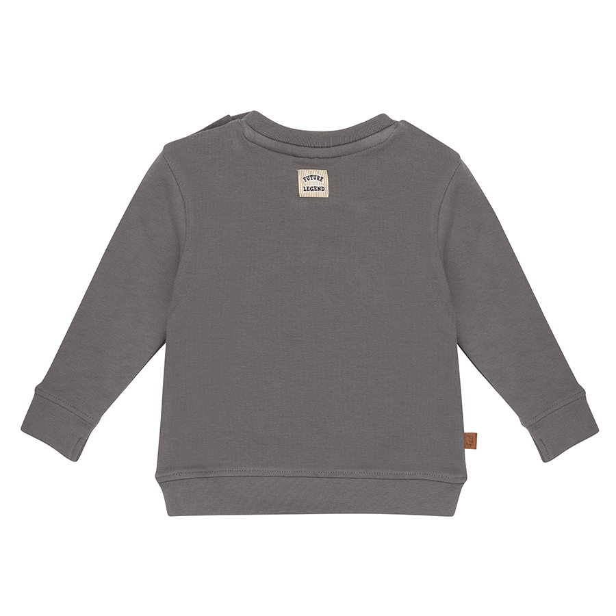 Frogs & Dogs lil Hero sweater