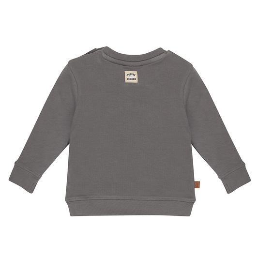 Frogs & Dogs lil Hero sweater