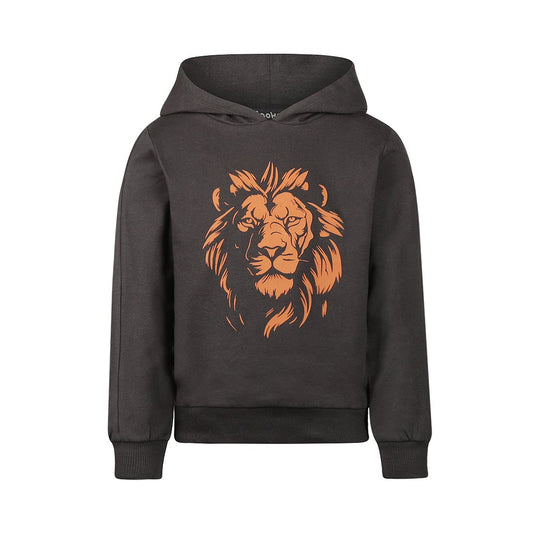 Koko Noko Lion