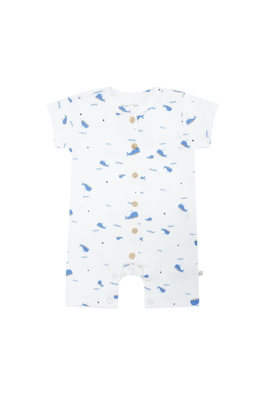 Petite Maison X Nono Sem