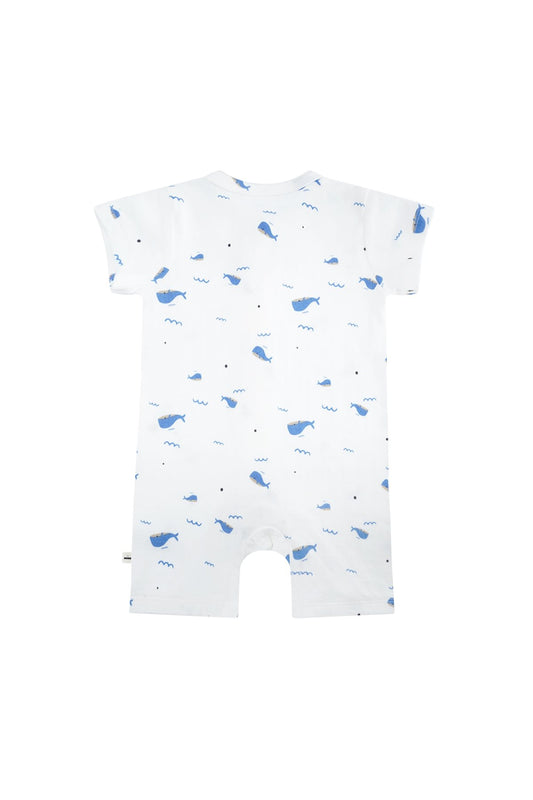 Petite Maison X Nono Sem