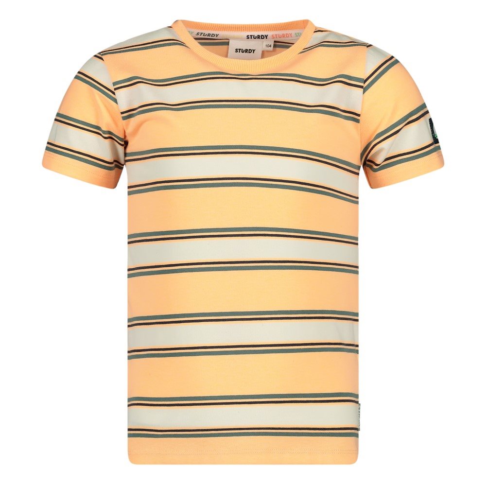 Sturdy Lagoon Streep