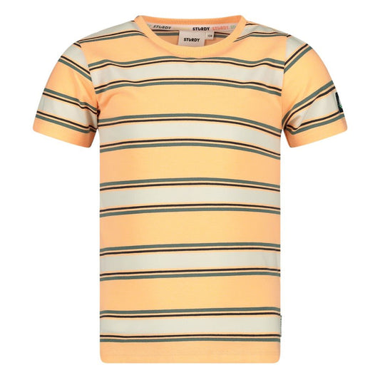 Sturdy Lagoon Streep