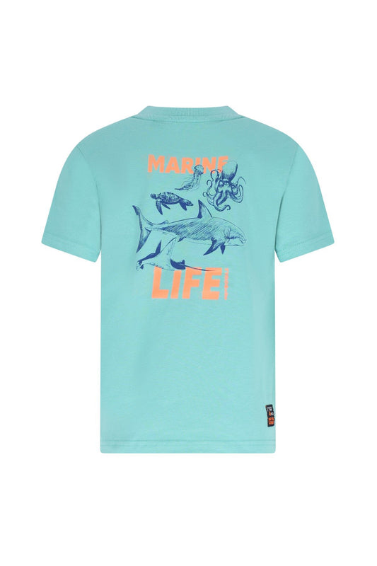 TYGO & vito Dylan Wassabi